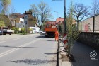 Nowe drzewa przy powiatowych drogach (fot. powiat pszczyński)