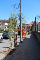 Nowe drzewa przy powiatowych drogach (fot. powiat pszczyński)