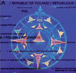 Paszporty na Piastowskiej 40...w Bielsku